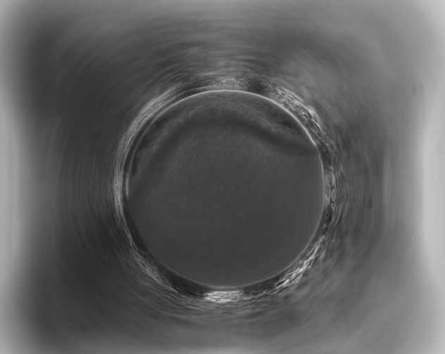 X0000096400051200801241209