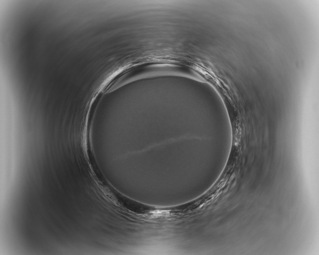 X0000096400052200801241209