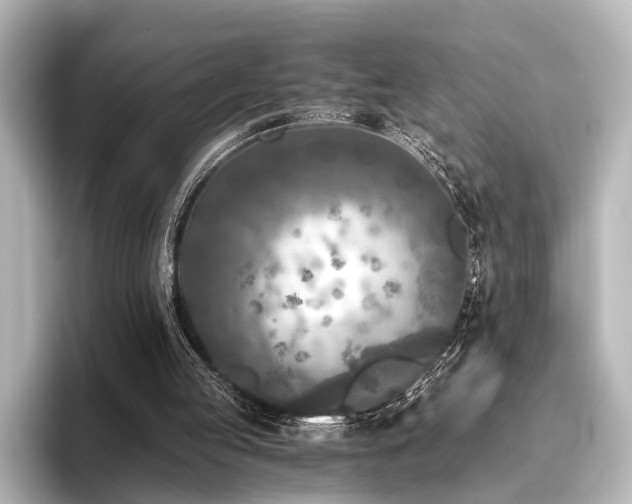 X0000096400053200801241209