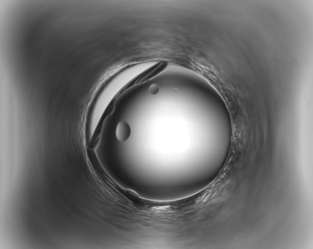 X0000096400054200801241209