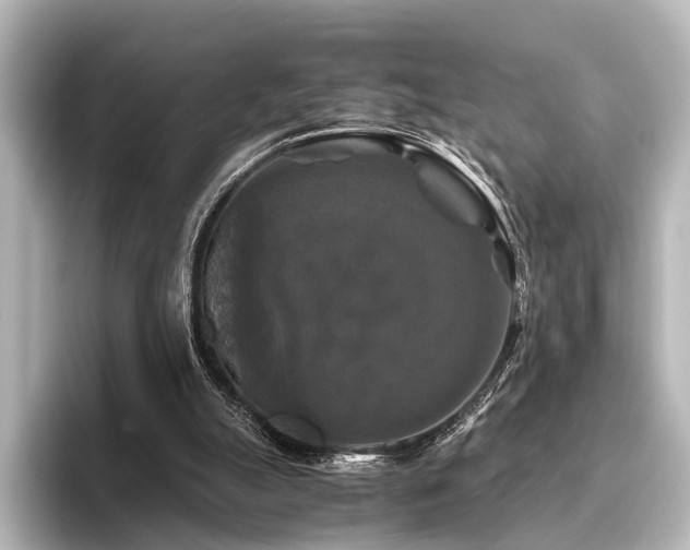 X0000096400055200801241209