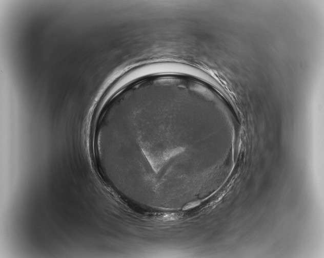 X0000096400056200801241209