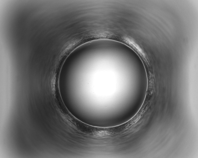 X0000096400058200801241209