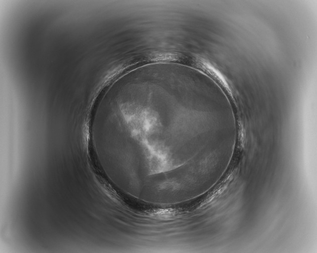 X0000096400059200801241209