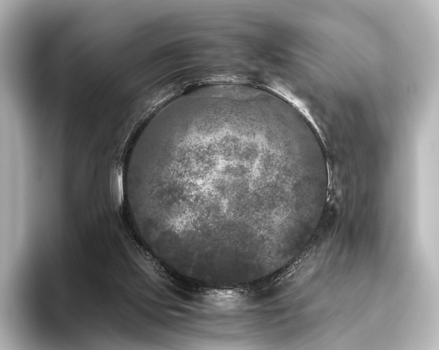 X0000096400061200801241209