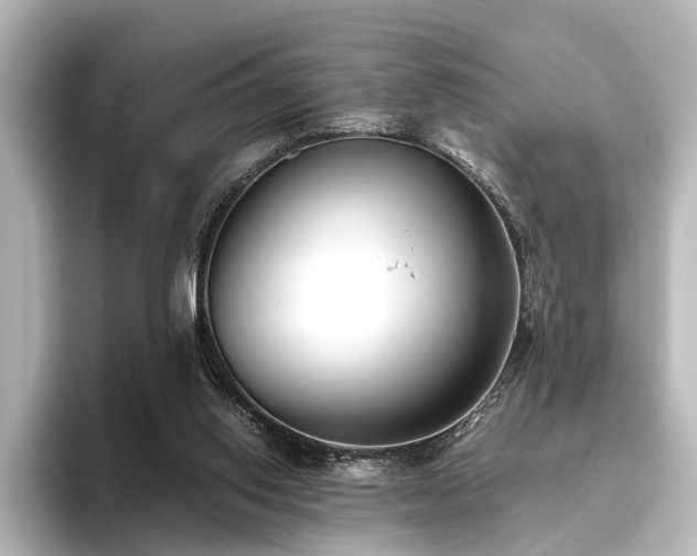 X0000096400062200801241209