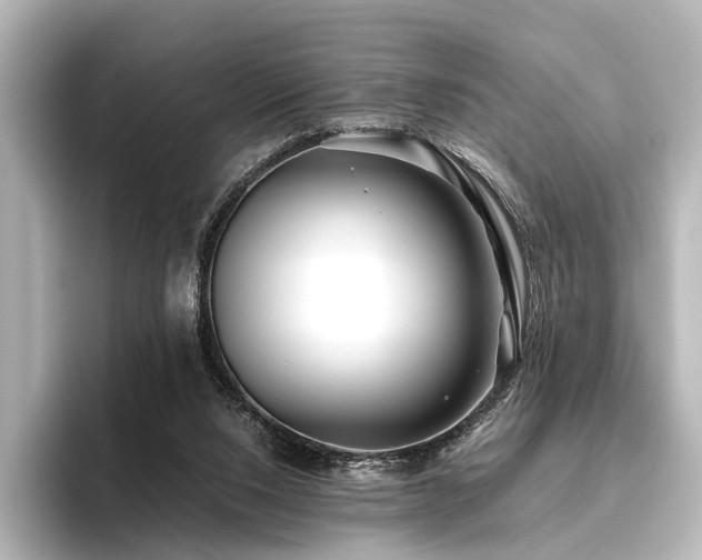 X0000096400064200801241209