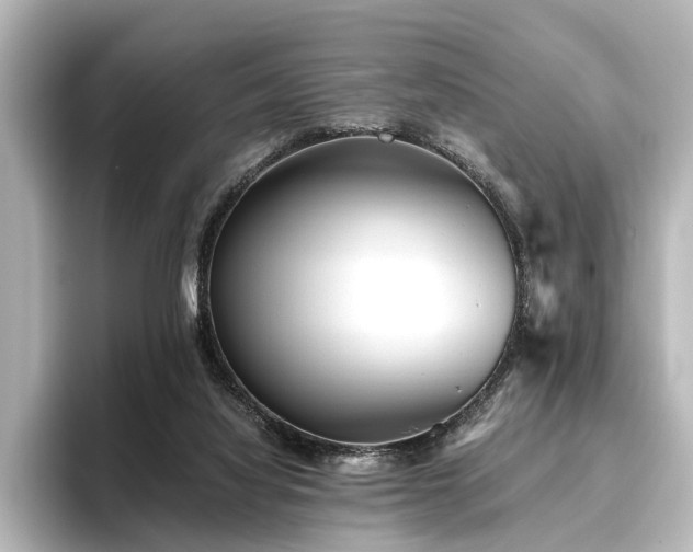 X0000096400068200801241209