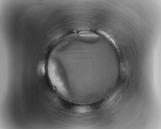 X0000096400069200801241209