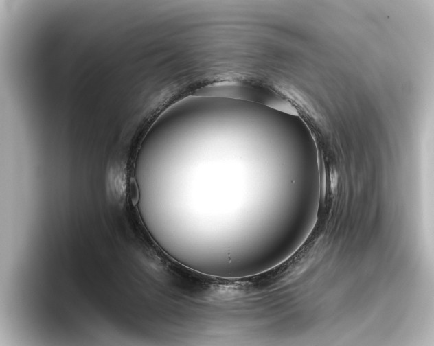 X0000096400072200801241209