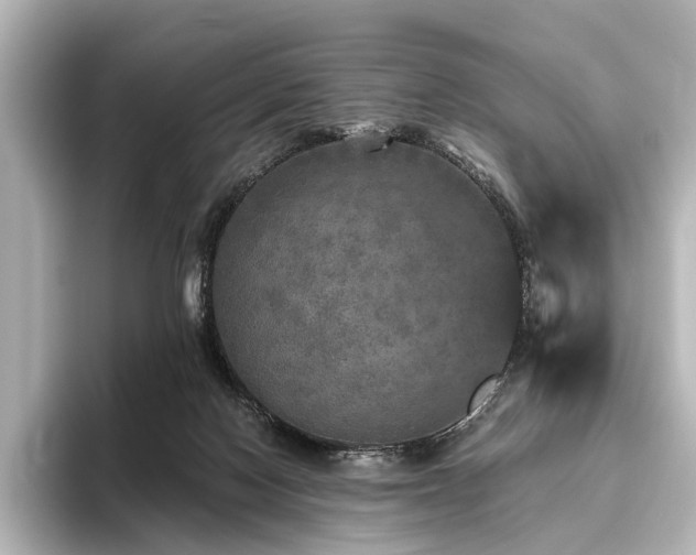 X0000096400074200801241209