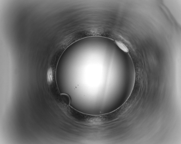 X0000096400075200801241209