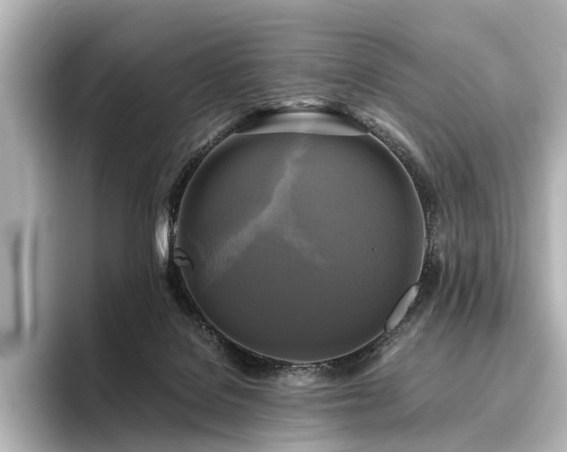 X0000096400076200801241209