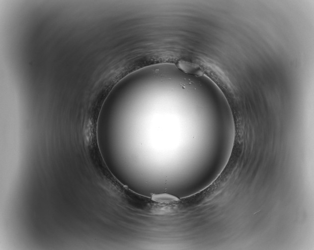 X0000096400077200801241209