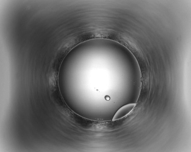 X0000096400078200801241209