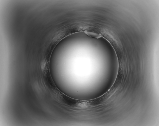 X0000096400079200801241209