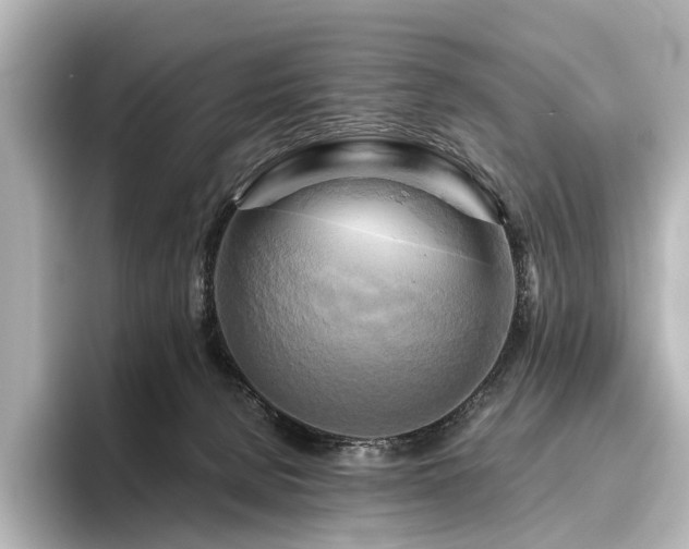 X0000096400080200801241209