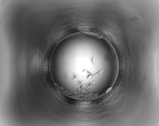 X0000096400081200801241209