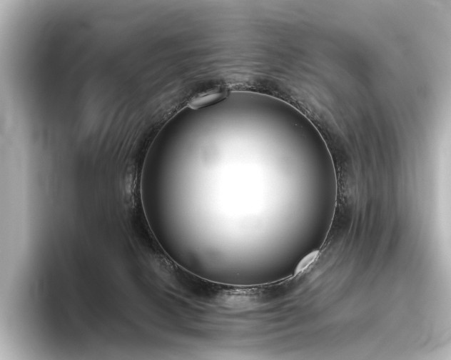 X0000096400082200801241209