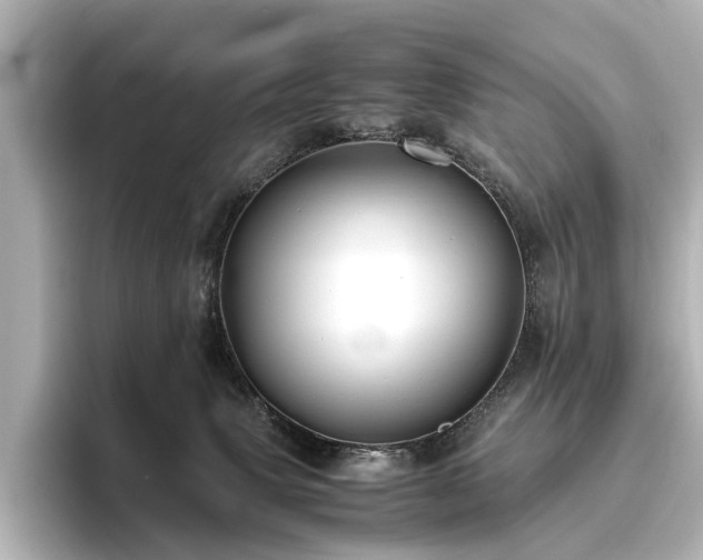 X0000096400083200801241209