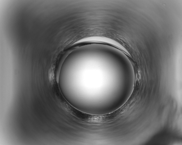 X0000096400084200801241209