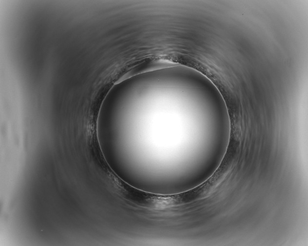 X0000096400085200801241209