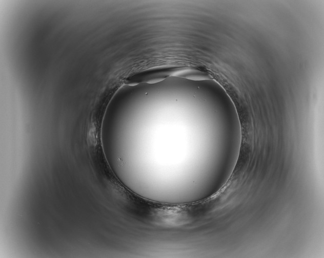 X0000096400086200801241209