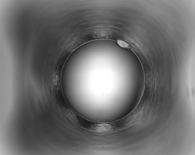 X0000096400087200801241209