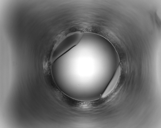 X0000096400088200801241209