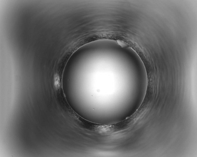 X0000096400089200801241209