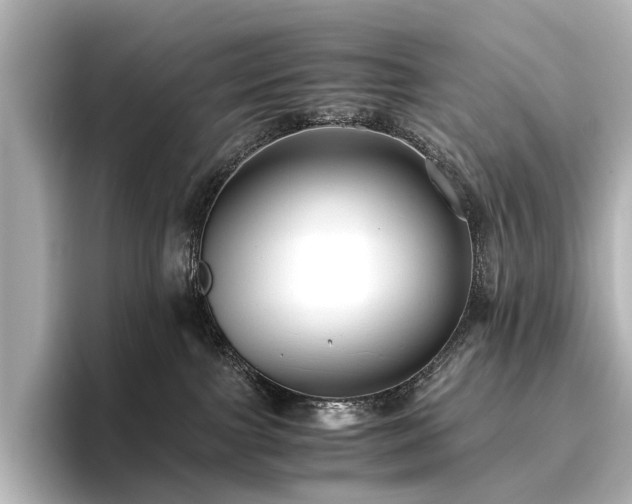 X0000096400091200801241209