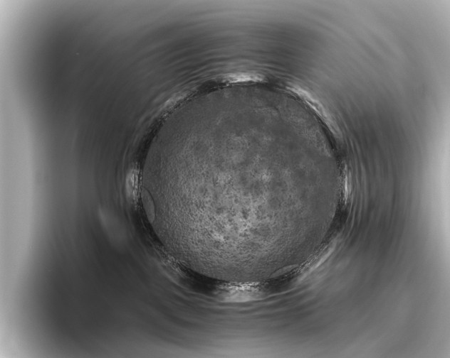 X0000096400093200801241209