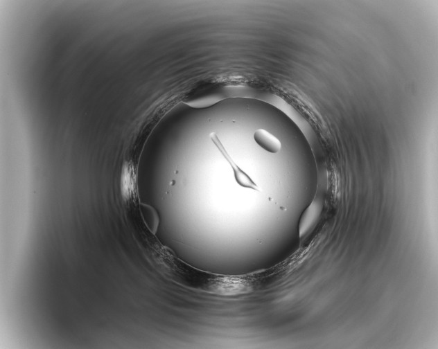 X0000096400095200801241209