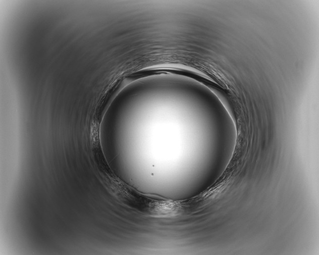 X0000096400096200801241209