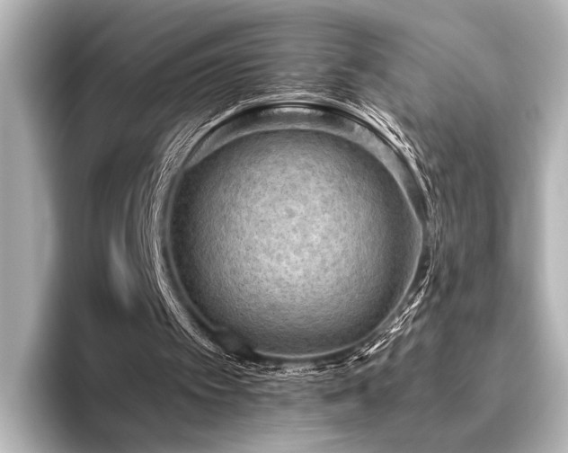 X0000096400097200801241209