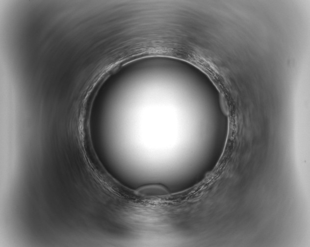 X0000096400098200801241209