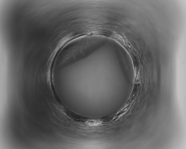 X0000096400099200801241209