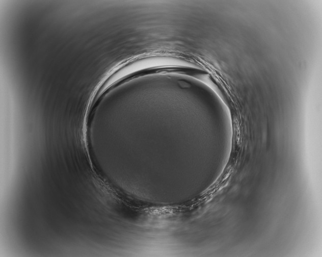 X0000096400100200801241209