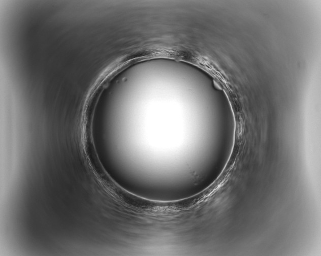 X0000096400101200801241209