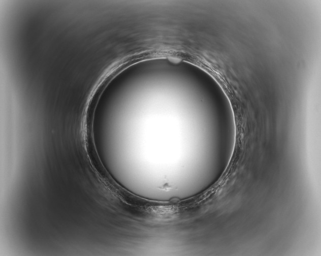 X0000096400102200801241209