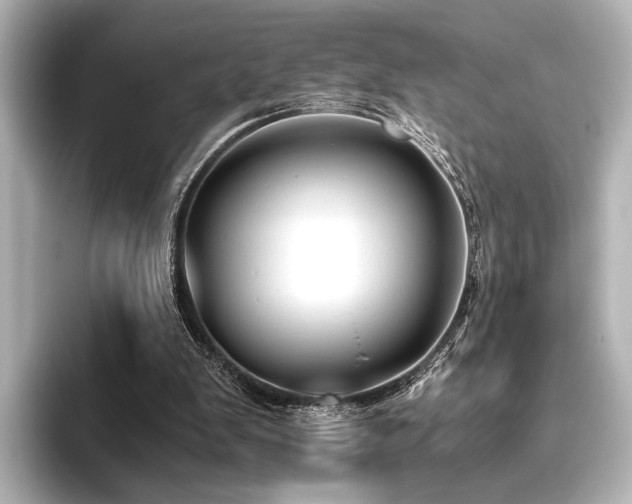 X0000096400103200801241209