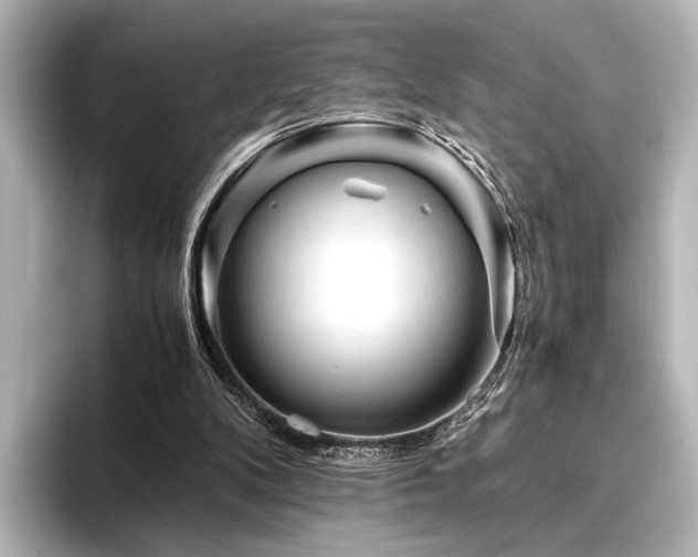 X0000096400104200801241209