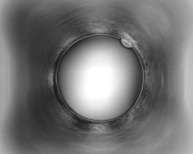 X0000096400106200801241208