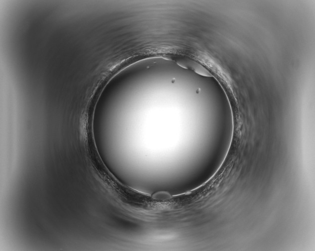 X0000096400107200801241208