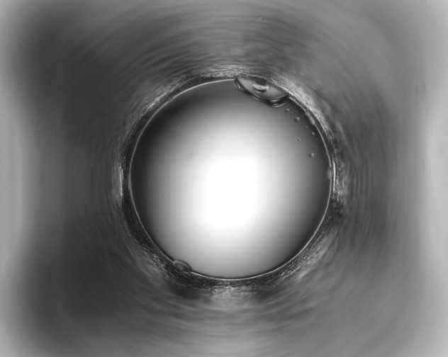 X0000096400109200801241208