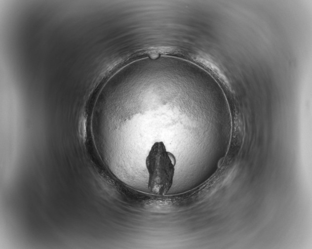 X0000096400110200801241208