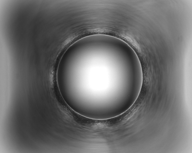 X0000096400111200801241208