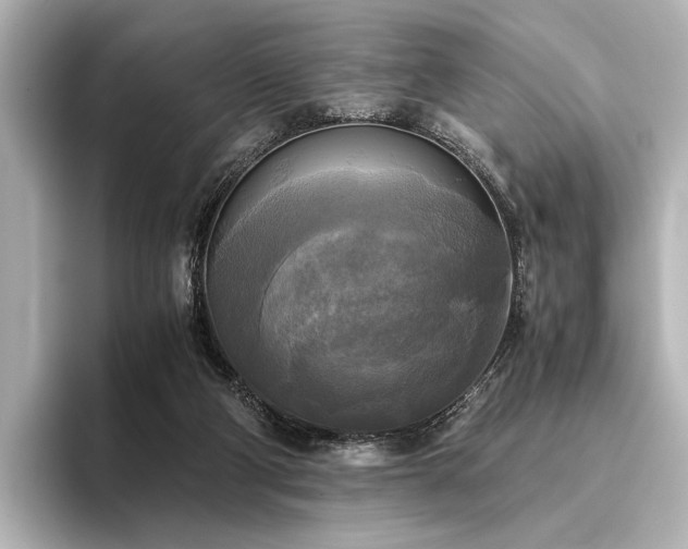 X0000096400114200801241208