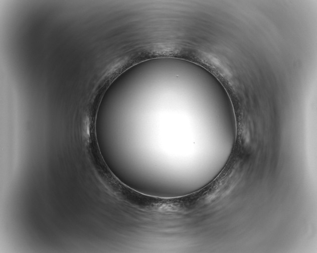 X0000096400115200801241208