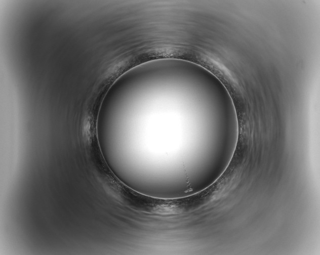 X0000096400119200801241208